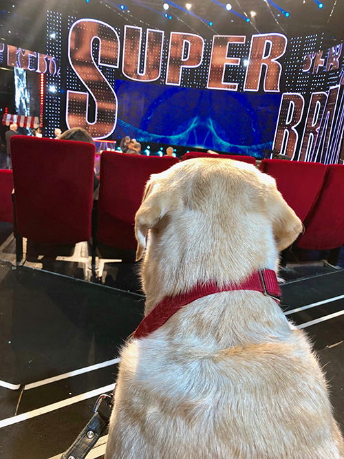 Emy superbrain