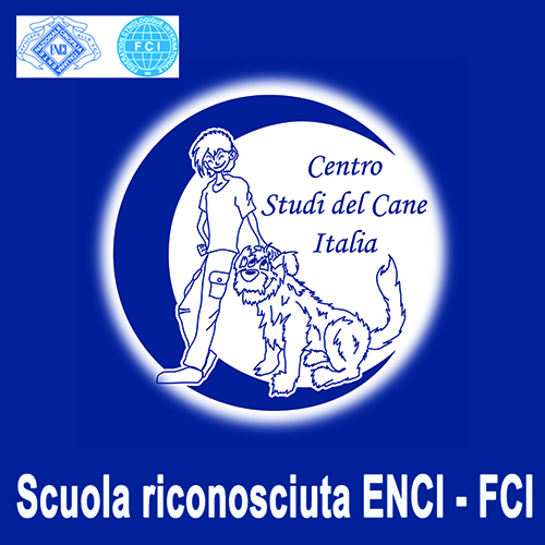 Logo CSdCI ENCI FCI 500