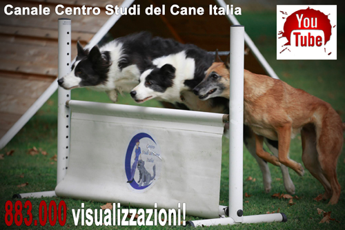 You Tube CSdCI