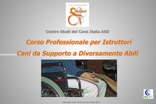 Disabili_01