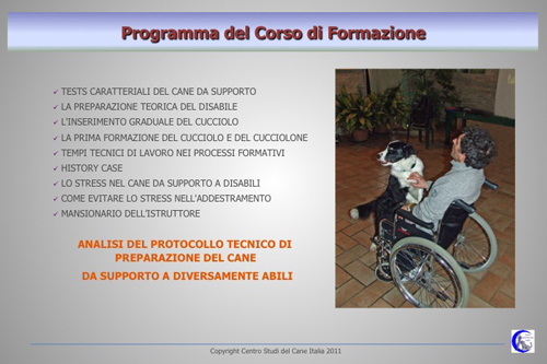 Disabili_2