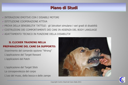 Disabili_3