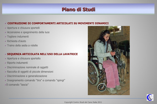Disabili_5