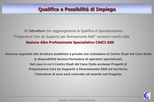 Disabili_7