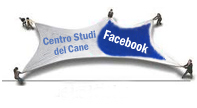 FB_CSdCI