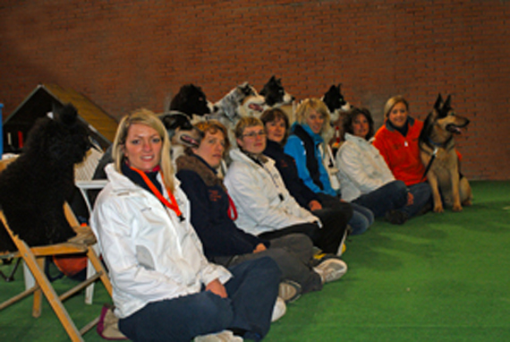 Obedience_team