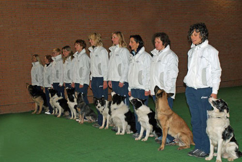 Squadra_di_Obedience_500
