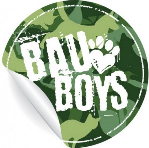 bauboyslogo-300x298